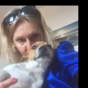 Donne cours particuliers anglais français à Toulouse