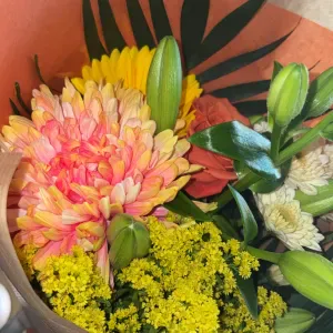 Aide à domicile pour vos ainé 