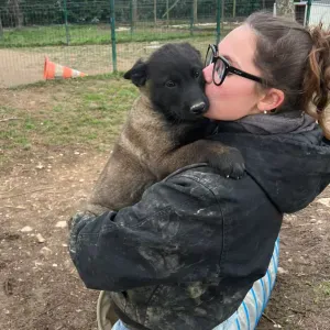 Pet-sitter sur grandris ainsi que sur lyon 