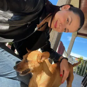 Estudante procura part-time como explicadora