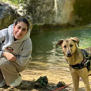 Pet sitting Leiria e arredores