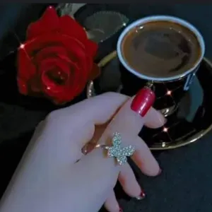 Femme de ménage à Saint-Étienne 