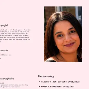 Ervaren babysitter zoekt een baan