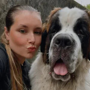 Cuidados com amor e carinho para o teu patudo