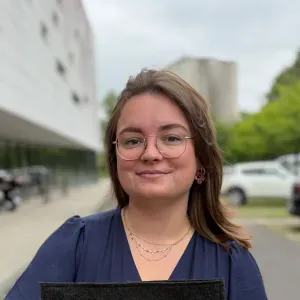 Proposition de repassage à Bayeux