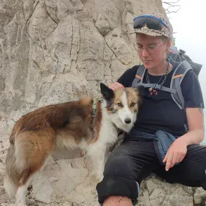 recherche pour ma chienne Naya