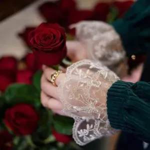 Canguro en elche con experiencia 