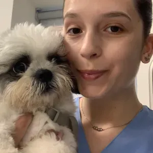 Pet Sitting e Dog walking em Penafiel e arredores