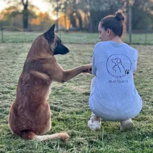 Pet sitter professionnelle à domicile