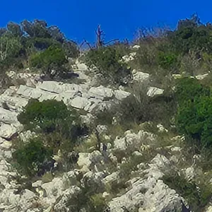 Baby sitter expérimentée a temps partiels 