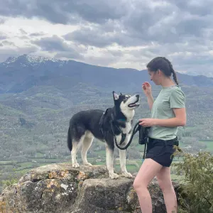 Garde et promene animaux