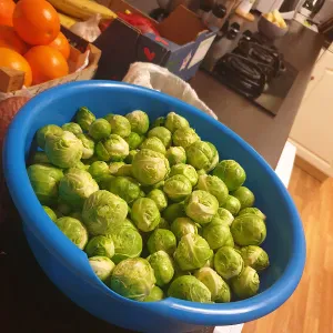 Auxiliaire de vie à domicile ou en structure.