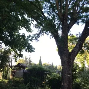 Assistante maternelle oiuytrdfghjkl;,nbv