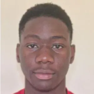 Pet sitter fiable et attentionné 