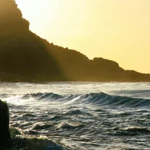 baby sitter ,garde animaux a woustviller