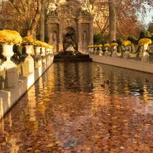 Compassionate Care Giver and honest person