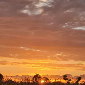 Recherche aide au ménage