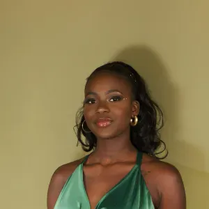 Femme de ménage et baby-sitter à brest 