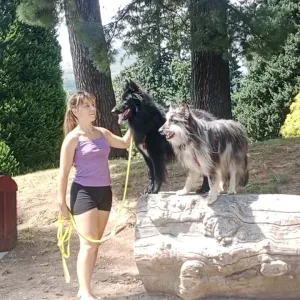 pulizie in provincia di Biella