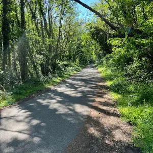 Lavoro pulizie a Besnate