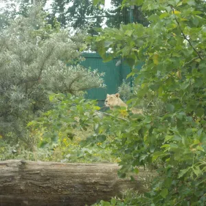 Serviço de limpezas permanente ou esporadico 