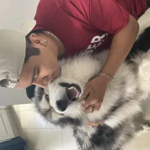 Petsister avec expérience avec les animaux 