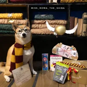 ayuda con los deberes para contratar Valencia