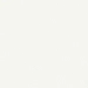 Dog walking and pet sitting services 