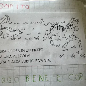 Lavoro come donna delle pulizie