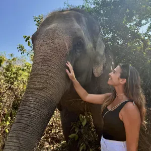 Pet-sitter sur Haguenau et alentours 