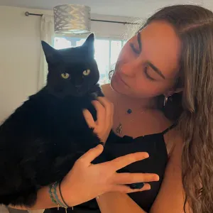 Pet sitter à Carcassonne et ses alentours