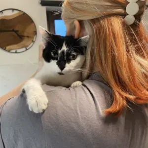 Opieka nad kotem/psem – Wejherowo i okolice  🐾