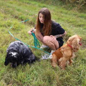 Pet sitter pour balades au lac et océan 