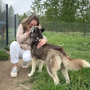 Petsiiter opika nad zwie rzętami