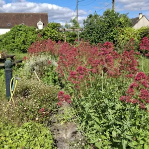 Je recherche une personne heures de ménage