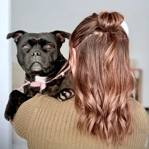 Pet-sitter Maubeuge et alentours 🐶 🐱 