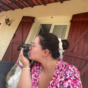 Recherche garde chiens domicile 