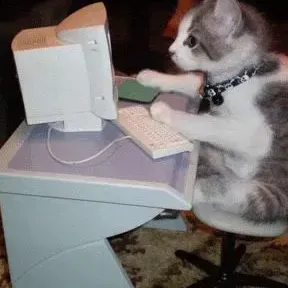 Pet-sitter à Brest, Finistère 