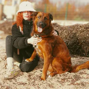 LAURA - Gardienne des animaux 