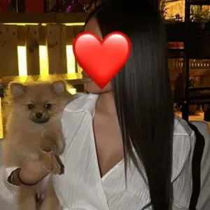 Promenade de chien sur Vienne 