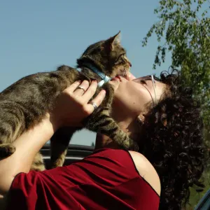 petsitter, opieka nad zwierzętami