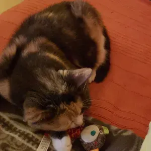 Aide à domicile sur la region Bernay