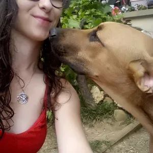 Cours de français et de maths à Woippy