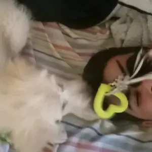 Pet sitting Pontremoli massa Carrara 