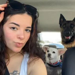 Je garde vos loulous dès que vous partez