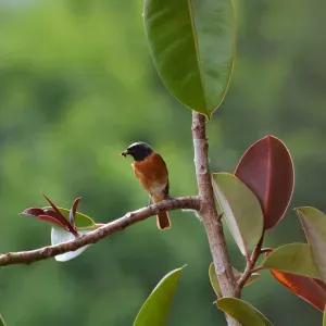 Cerco assistenza per mamma anziana