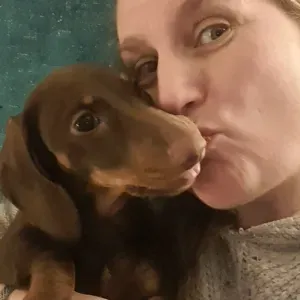 Promenades et visites a domicile