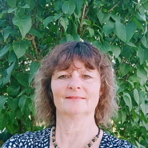 baby Sitter occasionnelle , maman de 3 enfants 