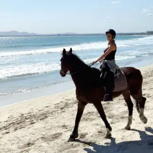 Cuidador de Animales en Palma de Mallorca