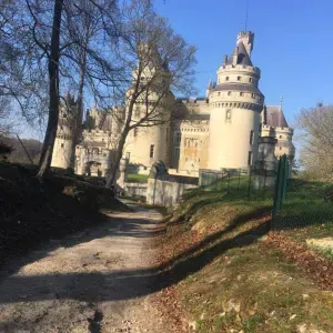 Pet-sitter en région parisienne 